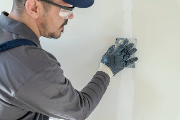 Best Environmental Consulting for Mold Prevention  in Sandy Oaks, TX