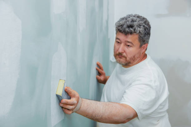 Best Black Mold Removal  in Sandy Oaks, TX