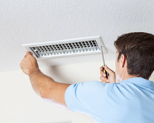Mold Odor Removal Services in Sandy Oaks, TX