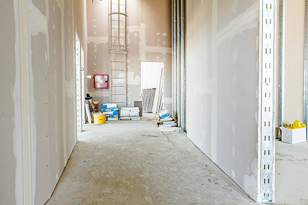 Best Crawl Space Mold Remediation  in Sandy Oaks, TX